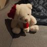 Christmas bear Image 4