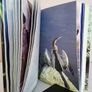 Life on Earth: A Natural History by David Attenborough (HQ648) Image 5