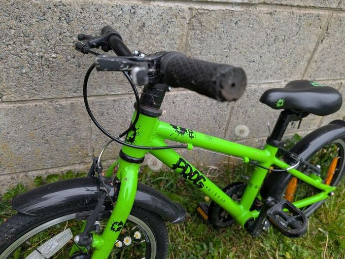 bike kids frog