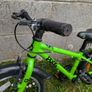 bike kids frog Image 5