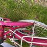 bikes Image 2