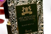 Black Beetle by Alexandre.J