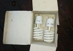 bulbs