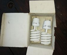 bulbs