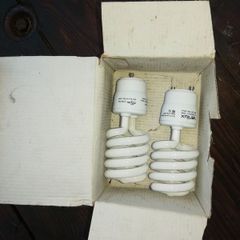 bulbs