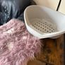 Bama Nido Plastic Pet Bed with plush cushion Image 10