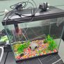 Fish Tank 30l Image 2