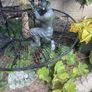 outdoor water feature Image 4