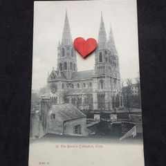 Ireland Postcard : St. Finn Barre's Cathedral , Cork - 1900s