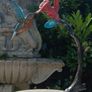 Hummingbird & Flower (40cm) - Patinated Bronze Image 9