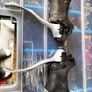 Sram shifters Image 6