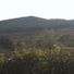 CushRock