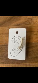 Stainless steel earing