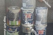 emulsion and soft sheen sage paint