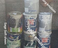 emulsion and soft sheen sage paint