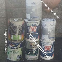emulsion and soft sheen sage paint