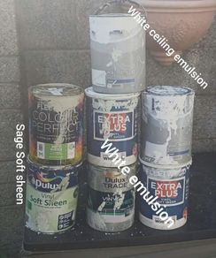 emulsion and soft sheen sage paint