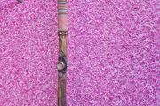 vintage walking stick