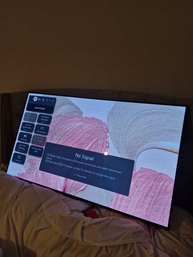 Lg oled tv 48"