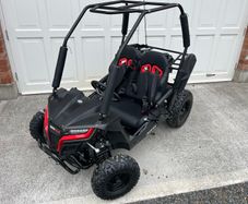 Quadzilla twister buggy for kids