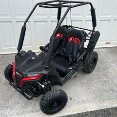 Quadzilla twister buggy for kids