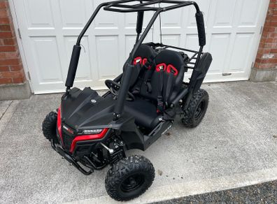 Quadzilla twister buggy for kids
