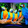 Lg Nanocell Nano96 55" 8k Smart Tv Image 3