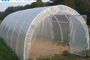 Polythene Greenhouse Polytunnel Plastic 8m x 6m  26ft x 20ft