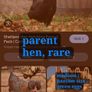 Trios: Ducks, Chickens, Geese Image 3