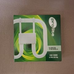 Bulb