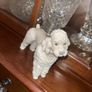 Rare Lladro Poodle Image 4