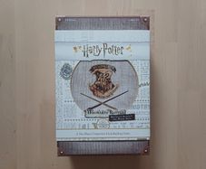 Harry Potter Defence Against the Dark Arts Deck Building Fantasy 2 Player Card Game 2019 OOP