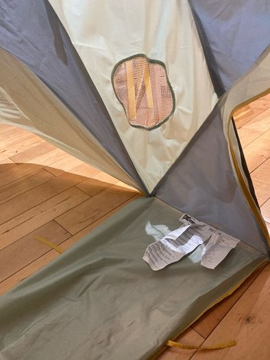 Bed tent