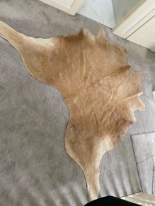 Large Cowhide Rug 200 x 230cms, Natural, Modern Living Room Statement, Excellent Condition