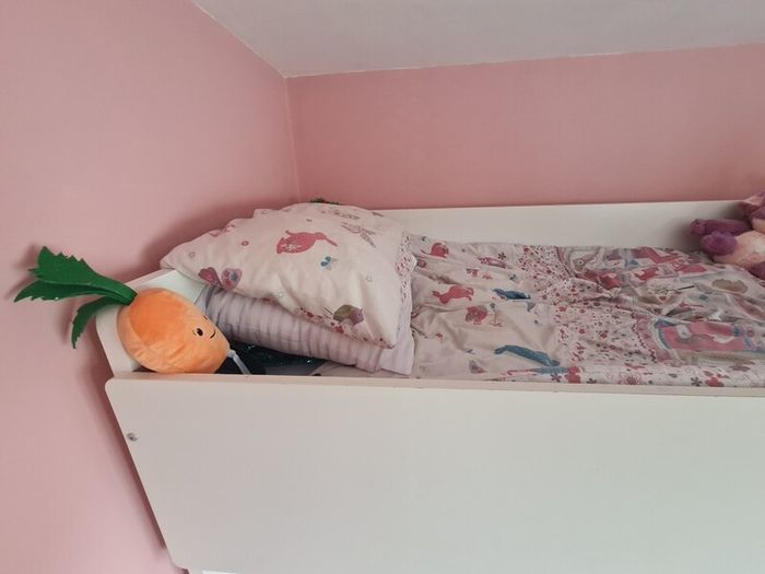 Loft Bed with Desk