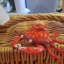 Fortnum & Mason Basket Etc Image 4