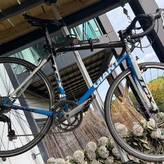 Giant TCX Size M