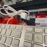 Apple A1243 Wired Aluminium Keyboard - White - Fully Functional (Used). Image 5