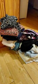 Bundle Girls Clothes age 6 to 7