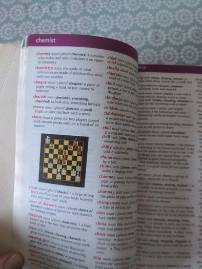 Fallon's Oxford Childrens Dictionary