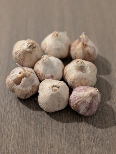 Home grown garlic