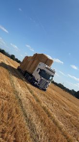 Straw