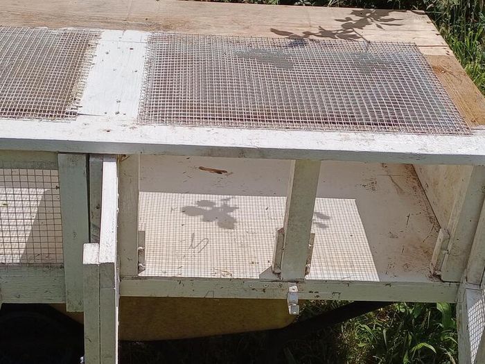 Multi-Compartment Wooden Quail Cage / Breeding Hutch