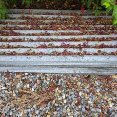 galvanise sheeting