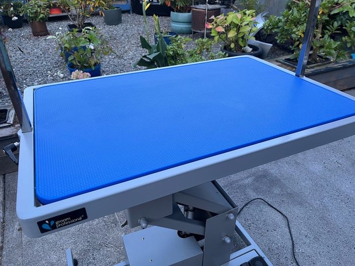 Groom Professional Plata Electric Dog Grooming Table