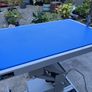 Groom Professional Plata Electric Dog Grooming Table Image 4
