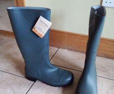 Wellingtons