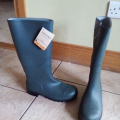 Wellingtons