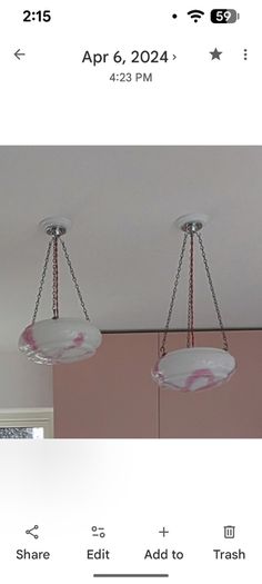 Vintage flycatcher ceiling shades