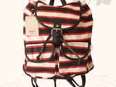 Red Stripe Backpack College Student With Buckle Detail